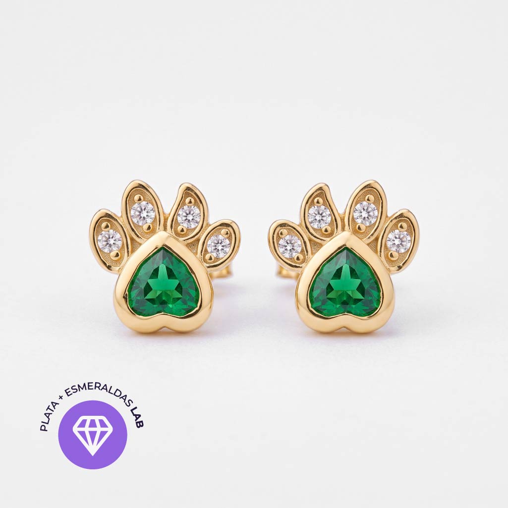 Aretes Patitas