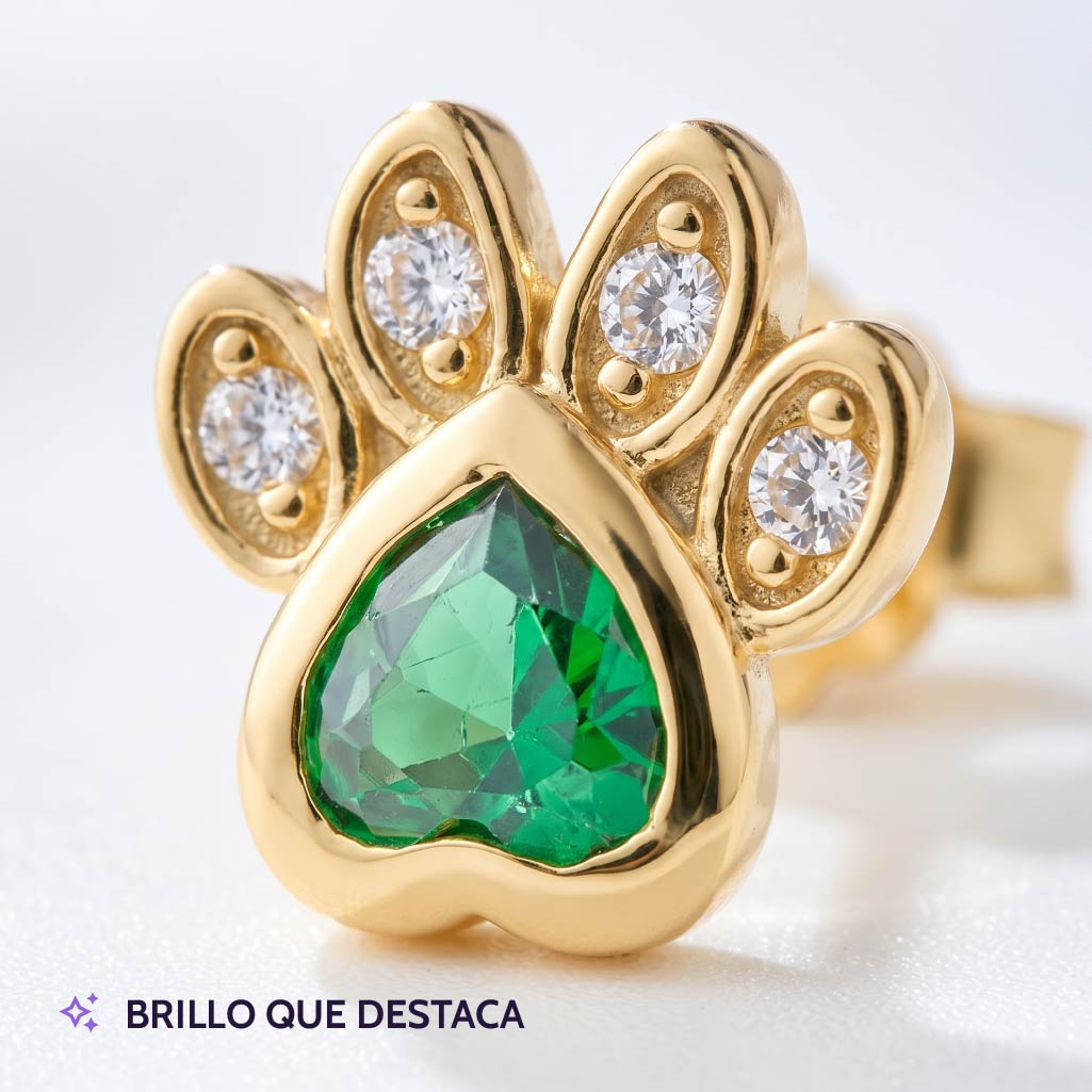 Aretes Patitas